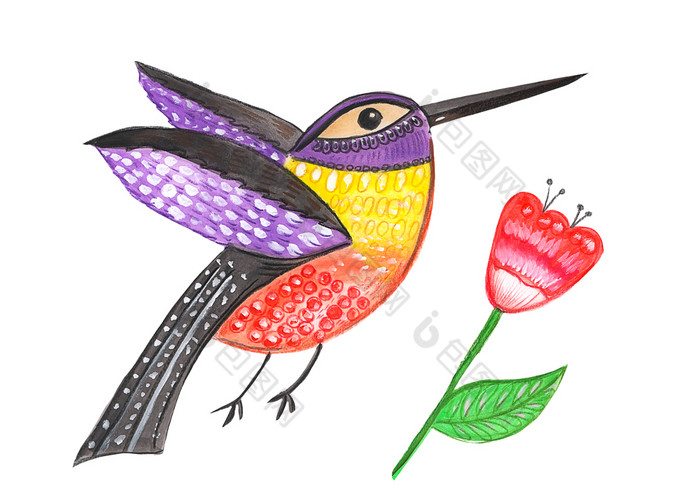 手画彩色的水彩铅笔小鸟颜色着色