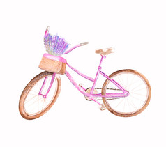 手画水彩自行车与篮子花为浪漫孤立的