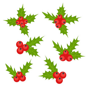 集冬青浆果圣诞节符号圣诞节和假期装饰集冬