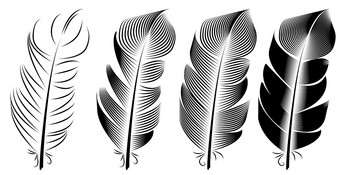 集合羽毛插图画雕刻墨水行艺术集合羽毛插图画雕刻墨水行艺术
