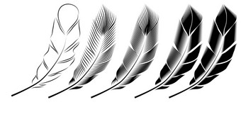 集合羽毛插图画雕刻墨水行艺术集合羽毛插图画雕刻墨水行艺术