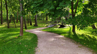 砾石走小道通过森林徒步旅行小道自然走概念绿色树植物要么一边通路好吧维护小径通过自然周围的环境砾石路径绿色夏天森林领先的木桥