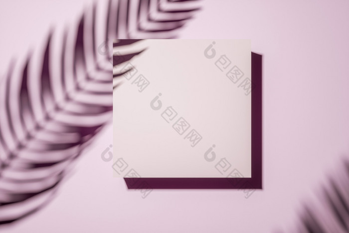 影子棕榈叶状体粉红色的pastell墙与中央空白广场帆布图片框架室内设计模板概念