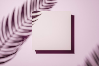 影子棕榈叶状体粉红色的pastell墙与中央空白广场帆布图片框架<strong>室内设计模板</strong>概念