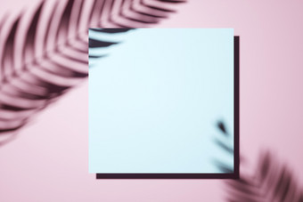 有创意的布局使影子棕榈叶状体粉红色的pastell墙与中央空白广场帆布图片框架室内设计模板概念边境安排