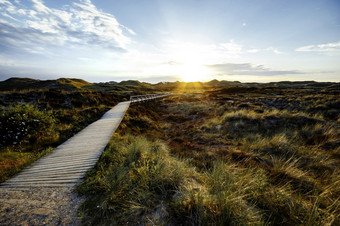 日落在密集的绿色布什沿海沙丘与木板路领先的平静日落与发光的天空喜怒无常的晚上景观阿姆鲁姆北弗里斯兰语岛屿Schleswig-Holstein德国