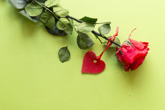一个红色的玫瑰与心绿色表面情人节rsquo概念