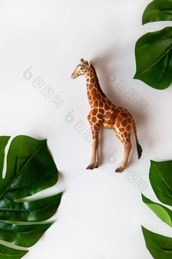 概念世界长颈鹿保护一天小玩具现实的长颈鹿幼崽中心框架绿色monstera叶子周围边缘白色背景特写镜头前视图