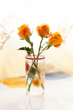 小简单的花束橙色玫瑰喝玻璃回来光假期概念美自然小快乐垂直格式为社会媒体博客