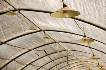 温室与照明灯和光灯泡以上的屋顶<strong>桁架</strong>为工业日益增长的草莓灯挂的的天花板
