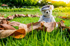 泰迪熊坐着的公园家庭概念