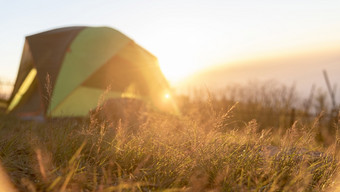 帐篷为背包客户外生活与夏天自然景观户外日落与明亮的阳光焦点金草地旅行旅程概念