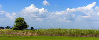 横幅美丽的景观山绿色场草草地白色云蓝色的天空阳光明媚的一天全景雄伟的绿色风景大山山Cloudscape谷全景视图绿色植物农村