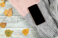 黄色的秋天叶子杯茶和智能手机老木背景与空空间为文本的视图从的前平躺
