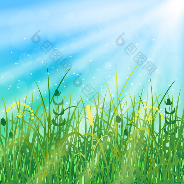 概念夏天冬至天空模糊场草的灯太阳休息假期自然森林国家房子农村概念夏天冬至天空模糊场草的灯太阳