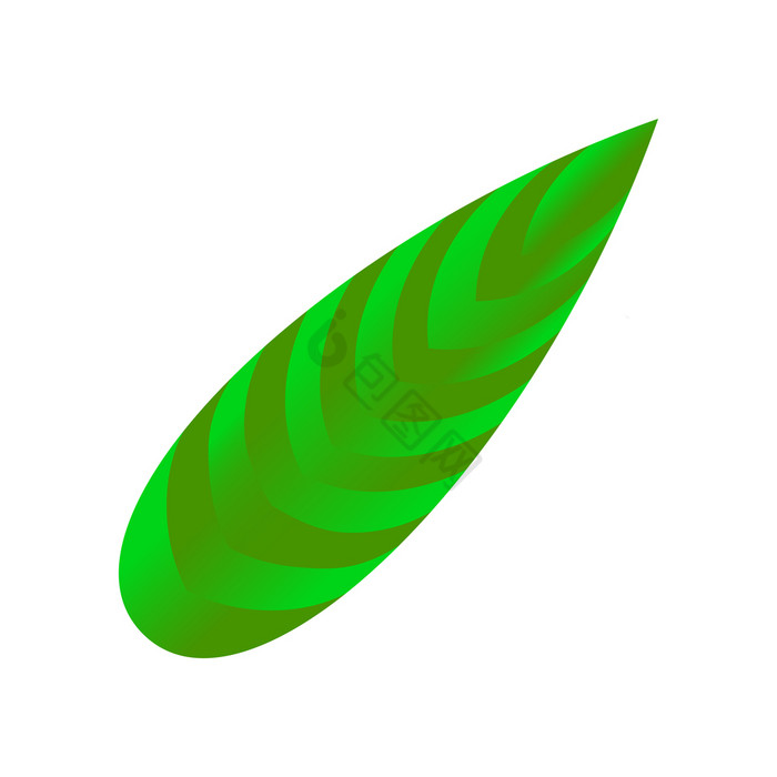 叶热带植物孤立的项目叶热带植物孤立的项目图片