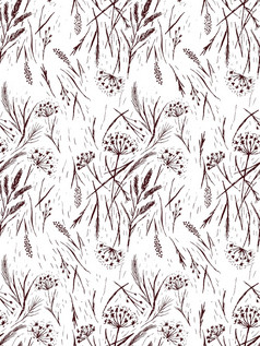 野生草无缝的模式草轮廓麦片植物手画草图插图白色背景布 劳 恩行野生草无缝的模式草轮廓麦片植物