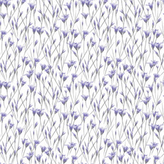 无缝的模式与精致的紫罗兰色的夏天野花