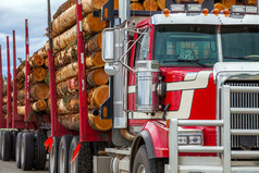 重加载木材运输卡车英国哥伦比亚加拿大卡车木材运输英国哥伦比亚加拿大