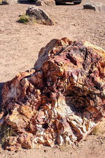 石化木碧玉森林石化森林国家公园路线亚利桑那州