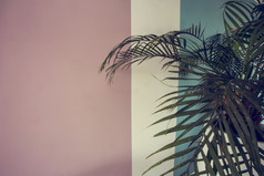 关闭绿色植物在粉红色的和蓝色的白色画墙复古的设计色彩斑斓的背景纹理