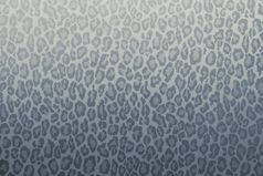 豹野生动物模式背景纹理壁纸概念豹野生动物模式背景纹理壁纸概念蓝色的灰色过滤器