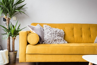 时尚的生活房间室内与舒适的黄色的沙发和绿色植物现代设计时尚的生活房间室内与舒适的黄色的沙发和绿色植物