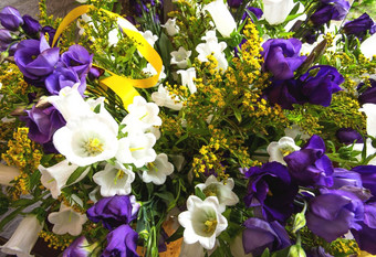 花束花紫色的黄色的和白色特写镜头夏天设计花束花紫色的黄色的和白色特写镜头