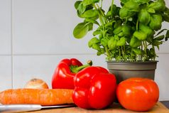 蔬菜新鲜的香菜胡萝卜红辣椒的厨房计数器健康的食物蔬菜新鲜的香菜胡萝卜红辣椒的厨房计数器