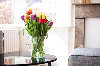 色彩斑斓的郁金香花各种各样的颜色表格的厅的4月概念光背景色彩斑斓的郁金香花各种各样的颜色表格的厅的4月概念
