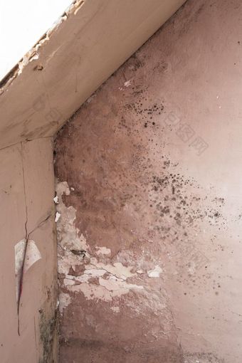 水损害导致模具增长的室内墙财产特写镜头水损害导致模具增长的室内墙财产