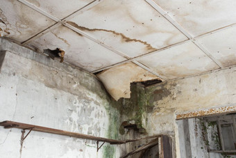 损坏的天花板从水泄漏老被遗弃的房子特写镜头损坏的天花板从水泄漏老被遗弃的房子