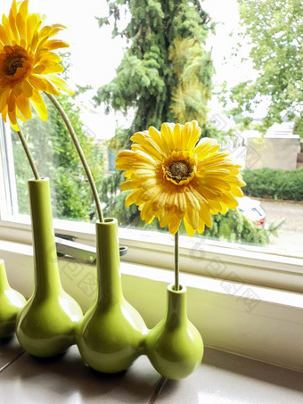 黄色的花绿色花瓶窗台上与绿色视图色彩斑斓的美黄色的花绿色花瓶窗台上与绿色视图色彩斑斓的