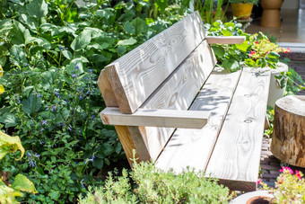 木板凳上野花花园与绿色植物和色彩斑斓的花与阳光美木板凳上野花花园与绿色植物和色彩斑斓的花与阳光