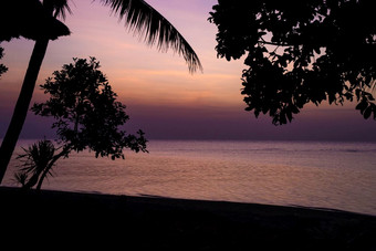 美丽的日落与棕榈树轮廓和海洋巴厘岛粉红色的和紫色的颜色景观自然美丽的日落与棕榈树轮廓和海洋巴厘岛粉红色的和紫色的颜色景观