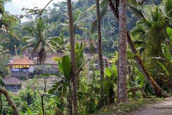 美丽的景观<strong>热</strong>带印尼<strong>热</strong>带雨林棕榈树和村附近自然美丽的景观<strong>热</strong>带印尼<strong>热</strong>带雨林棕榈树和村附近