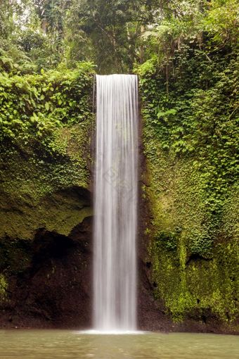 视图瀑布和绿色森林景观热带雨林巴厘岛景观视图瀑布和绿色森林景观热带雨林巴厘岛