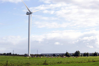 生态权力自然景观荷兰景观与风车和牛放牧草地生态权力自然景观荷兰景观与风车和牛放牧