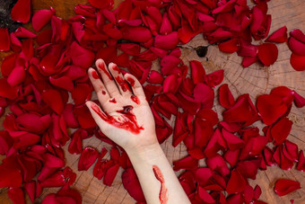 人类手覆盖血谎言红色的玫瑰花瓣谋杀神秘恐怖浪漫的概念背景人类手覆盖血谎言红色的玫瑰花瓣谋杀神秘恐怖浪漫的概念