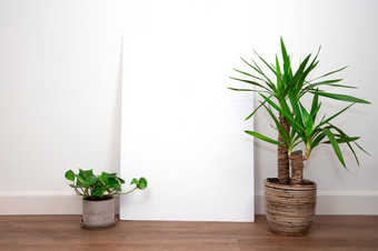 现代室内白色墙与绿色植物聚氯乙烯地板上对白色墙与空白空海报框架为文本复古的空间为文本现代室内白色墙与绿色植物聚氯乙烯地板上对白色墙与空白空海报框架为文本复古的