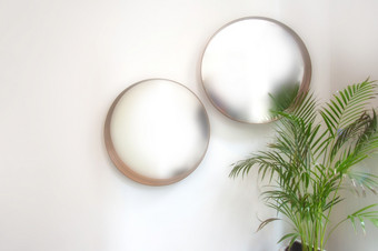 两个椭圆形轮镜子白色墙与绿色房子植物现代室内模糊镜子复古的设计空间为文本两个椭圆形轮镜子白色墙与绿色房子植物现代室内模糊镜子复古的设计