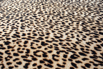 野生动物模式背景纹理豹丛林主题打印特写镜头野生动物模式背景纹理豹丛林主题打印