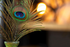 孔雀羽毛花瓶与散景灯的背景温暖的色彩斑斓的灯现代装饰美丽的绿色和黄色的颜色美孔雀羽毛花瓶与散景灯的背景温暖的色彩斑斓的灯现代装饰美丽的绿色和黄色的颜色