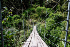 木悬架桥的森林美丽的山景观的夏天木悬架桥的森林美丽的山景观