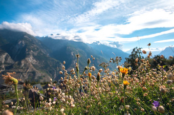 绿色山景观的<strong>夏天</strong>与花和蓝色的天空的阿尔卑斯山脉瑞士<strong>美丽</strong>的背景阳光明媚的一天美绿色山景观的<strong>夏天</strong>与花和蓝色的天空的阿尔卑斯山脉瑞士<strong>美丽</strong>的背景阳光明媚的一天