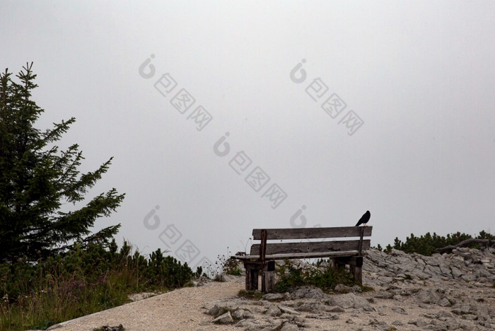 雾和云山景观与乌鸦木板凳上黑暗和神秘恐怖景观自然雾和云山景观与乌鸦木板凳上黑暗和神秘恐怖景观