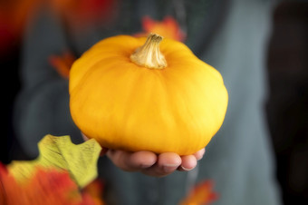 人类手持有装饰橙色南瓜与下降秋天叶子10月秋天<strong>季节</strong>和万圣节概念背景关闭人类手持有装饰橙色南瓜与下降秋天叶子10月秋天<strong>季节</strong>和万圣节概念背景