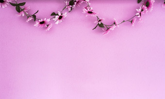 快乐的色彩斑斓的粉红色的<strong>紫色</strong>的雏菊加兰挂粉红色的墙<strong>背景</strong>纹理美丽的现代设计与复制空间摘要装饰与花快乐的色彩斑斓的粉红色的<strong>紫色</strong>的雏菊加兰挂粉红色的墙<strong>背景</strong>纹理美丽的现代设计与复制空间