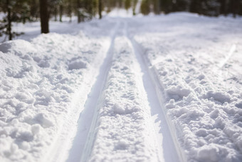 痕迹滑雪跟踪清<strong>洁白</strong>色雪的冬天森林痕迹滑雪跟踪清<strong>洁白</strong>色雪的森林