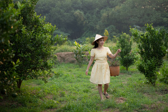 年轻的园丁亚洲女人微笑和携带的篮子泰国的蜂<strong>蜜橘</strong>子橙子花园幸福和健康的生活方式概念